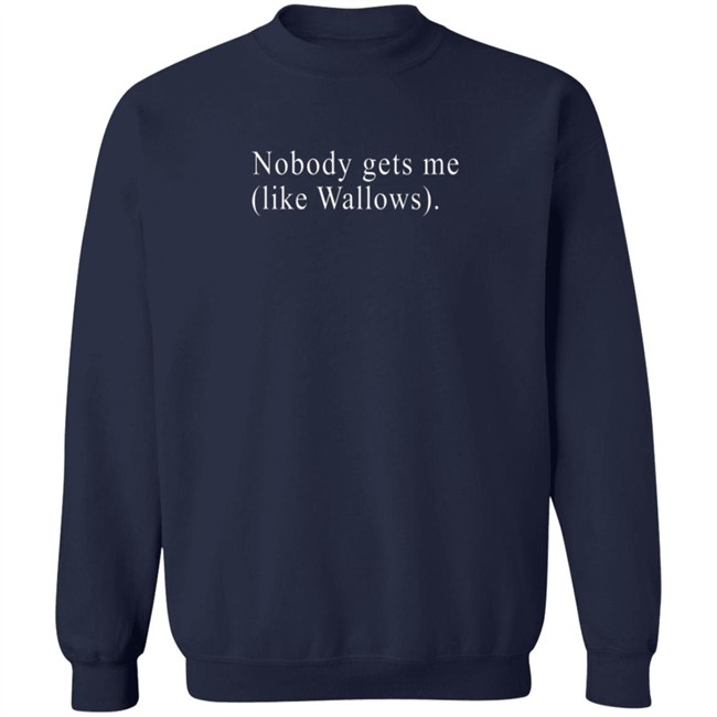 Wallows Merch Nobody Gets Me T Shirt Wallows Merch Nobody Gets Me T Shirt