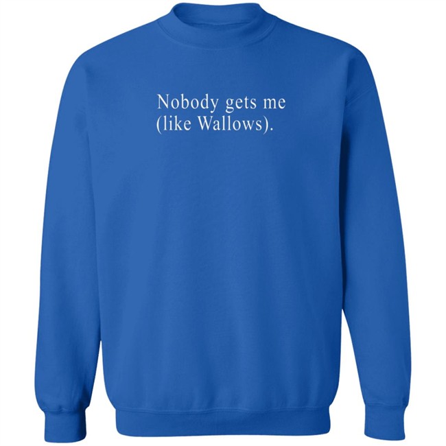 Wallows Merch Nobody Gets Me T Shirt Wallows Merch Nobody Gets Me T Shirt