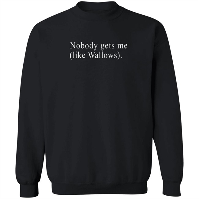 Wallows Merch Nobody Gets Me T Shirt Wallows Merch Nobody Gets Me T Shirt